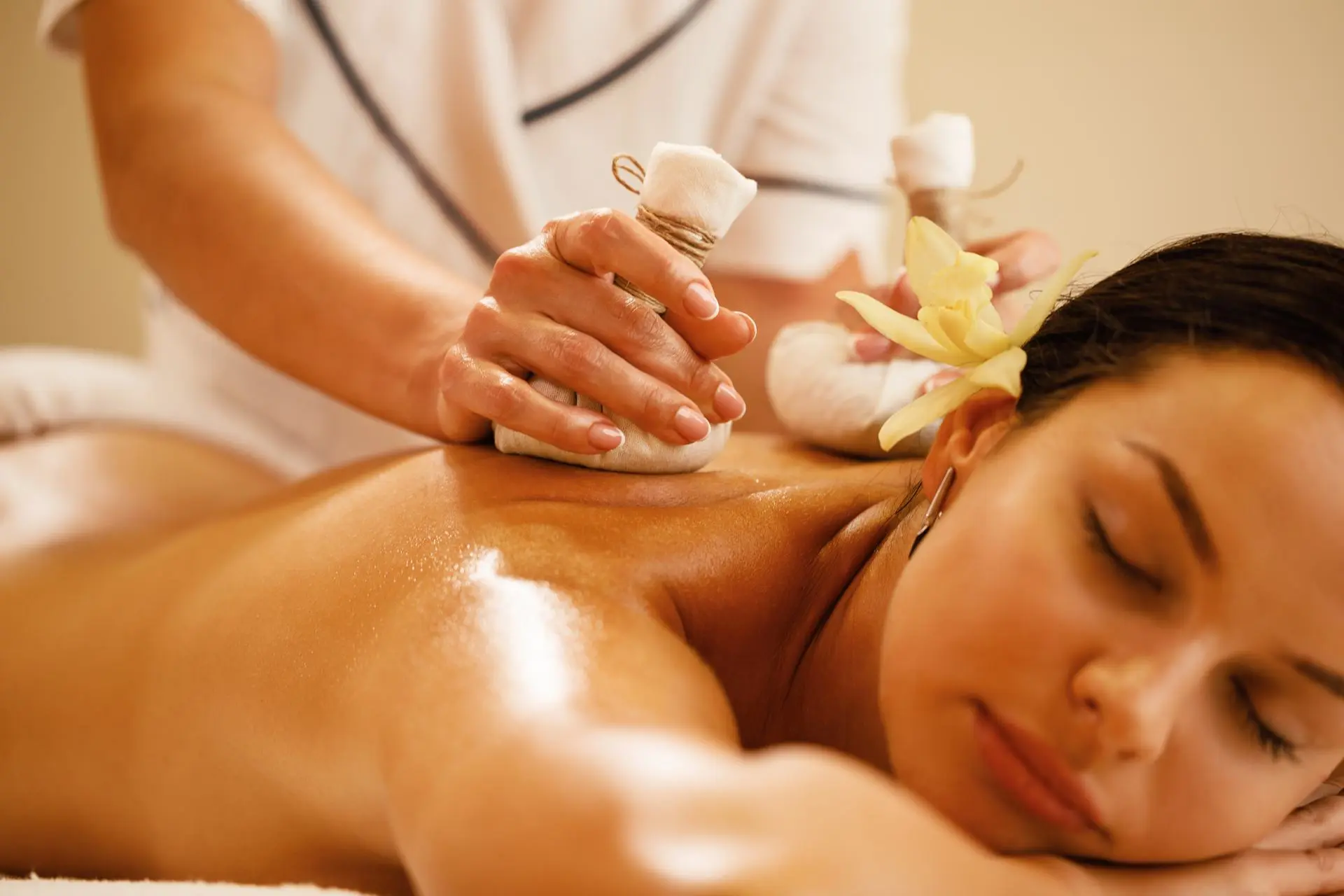 Wellness & Ayurveda