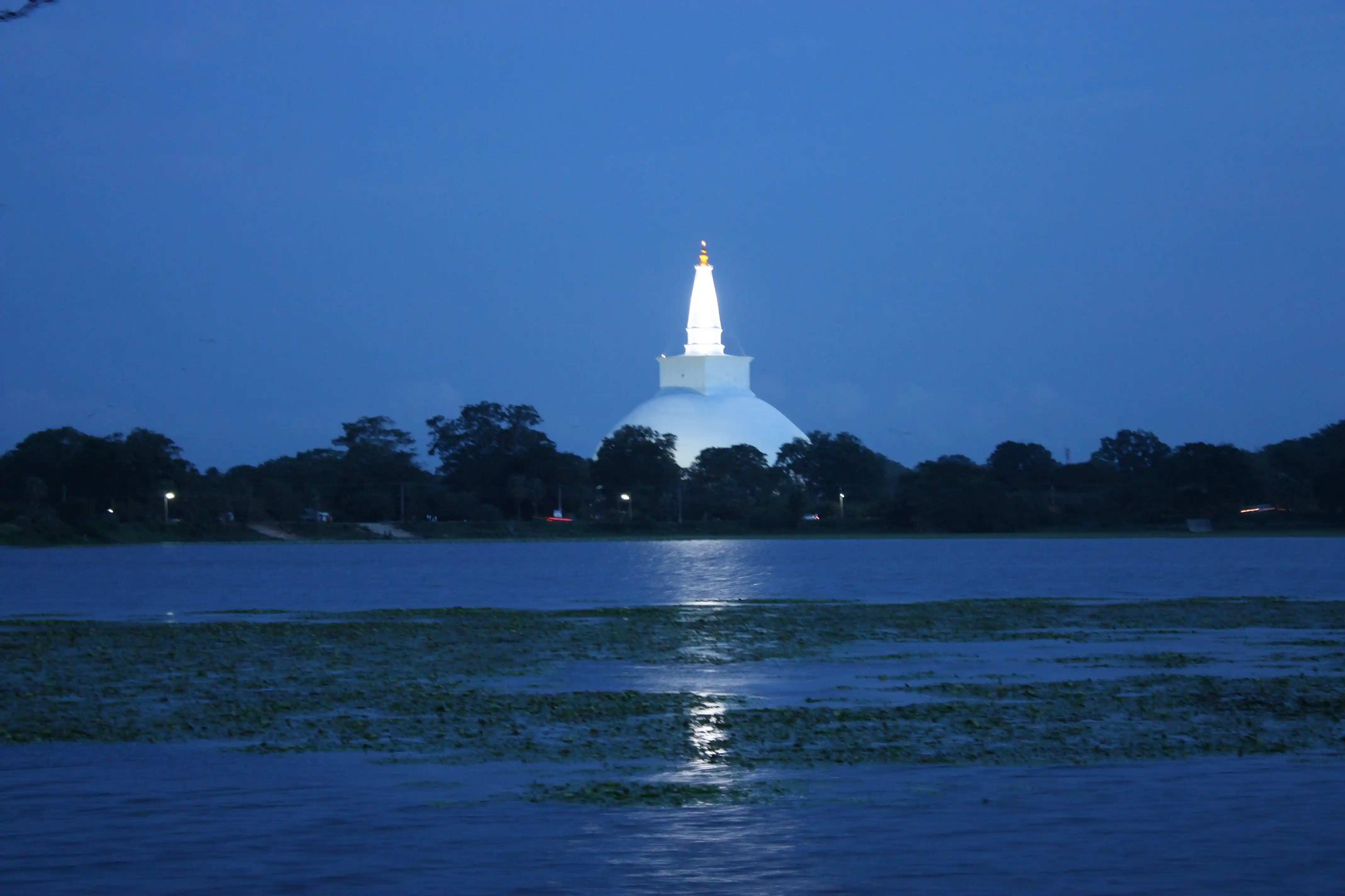 Wild Sri Lanka Expedition – An Ultimate Wildlife & Nature Adventure — photo 3