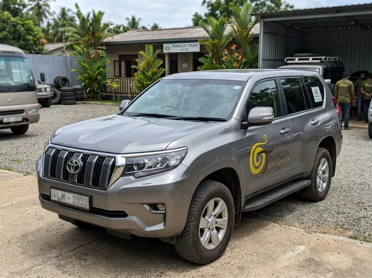 SUV / Crossover